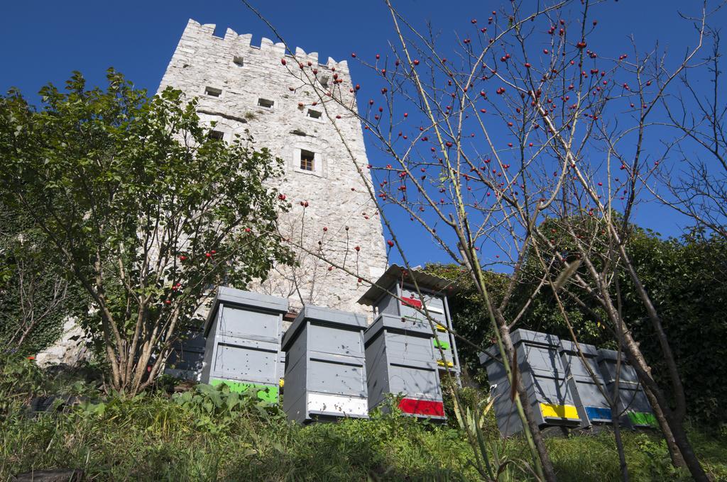 Apartmaji In Sobe Marija Jera Štanjel المظهر الخارجي الصورة